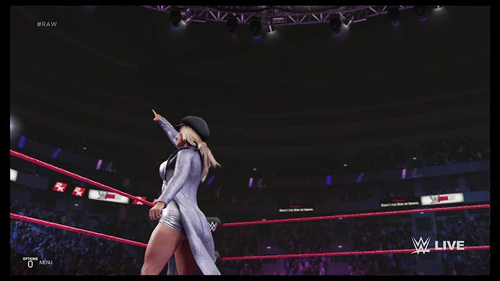 wwe19game10