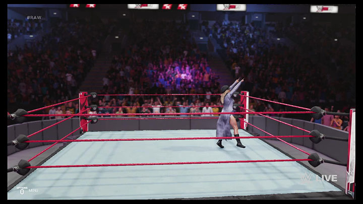 wwe19game11