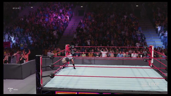 wwe19game8