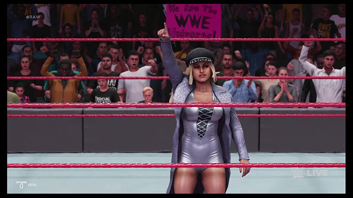 wwe19game9