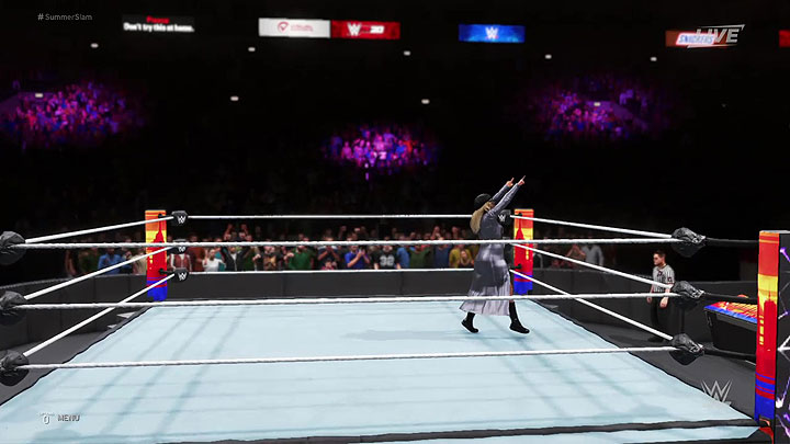 wwe20game8