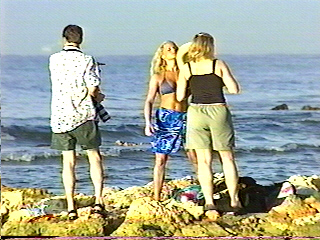 carribeanvhs3