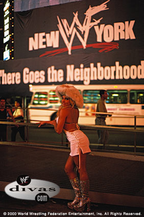 wwfdivas newyork1